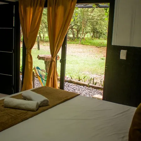 Los Potrillos Mariquita Room photo