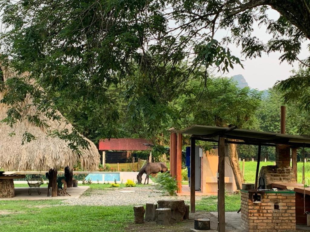 Potrillos Holiday home *